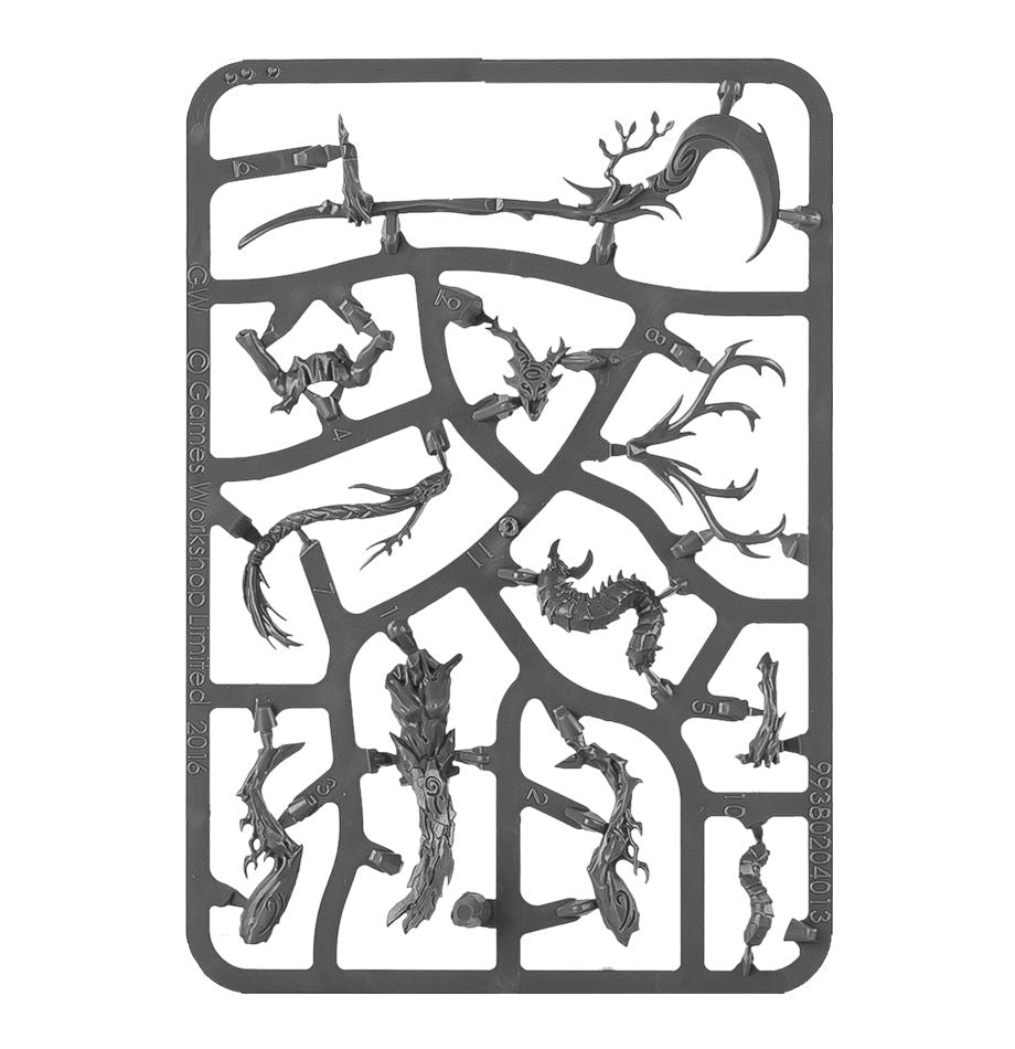 Sylvaneth: Brujarrama (Venta Directa)