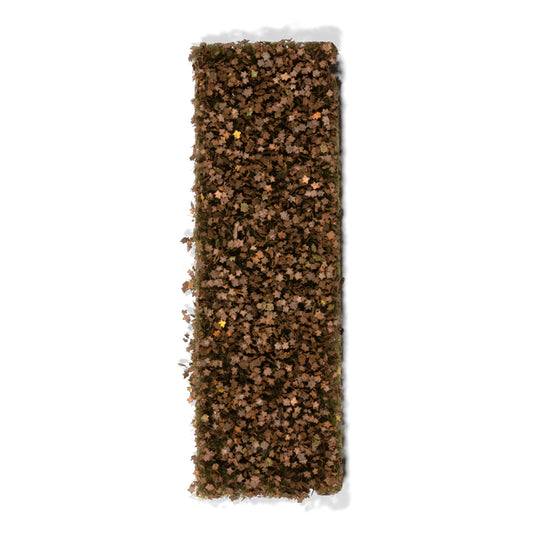 CHESTNUT FOLIAGE LATE FALL