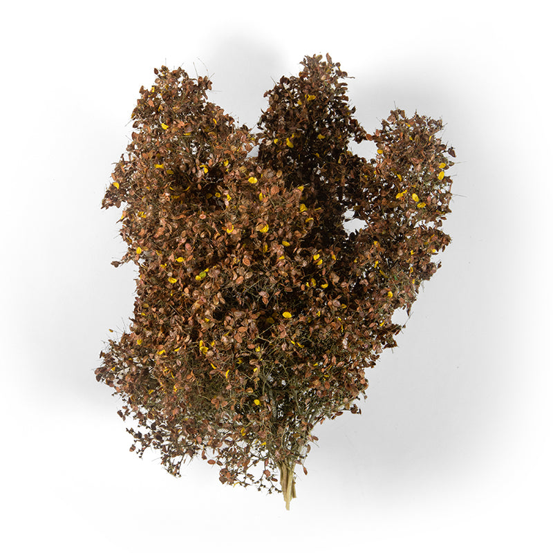 LATE FALL FILIGREE BUSHES - vista 2 - AK