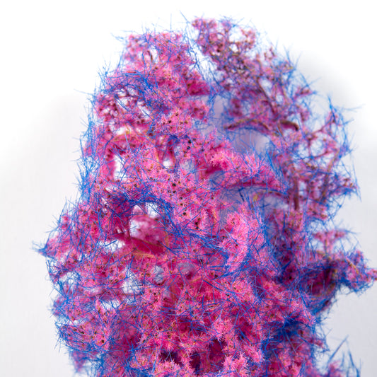 BLUE-PINK – FANTASY BUSHES