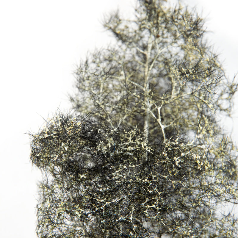 BLACK-WHITE – FANTASY BUSHES - vista 2 - AK