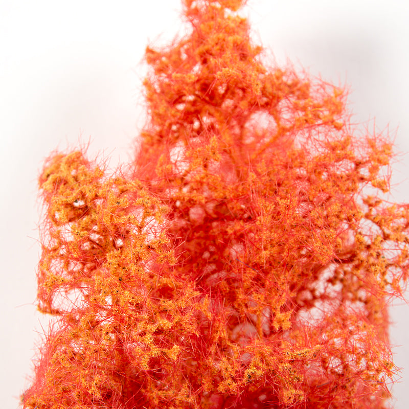 RED-ORANGE – FANTASY BUSHES - vista 2 - AK