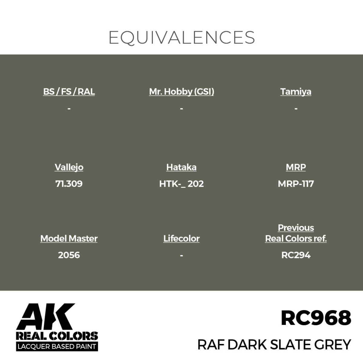 RAF Dark Slate Grey 17 ml. - vista 3 - AK