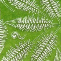 HELECHO (FERN) 1/32 y 1/35 - vista 2 - AK