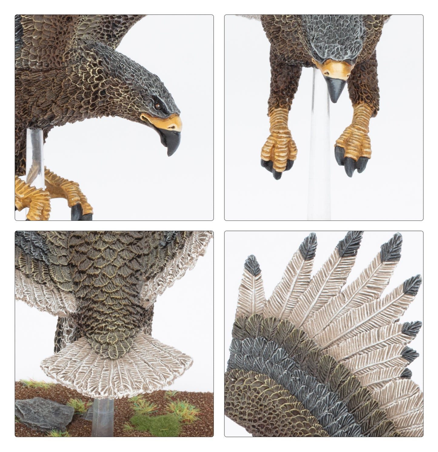 great-eagle-of-the-elven-realms foto 2
