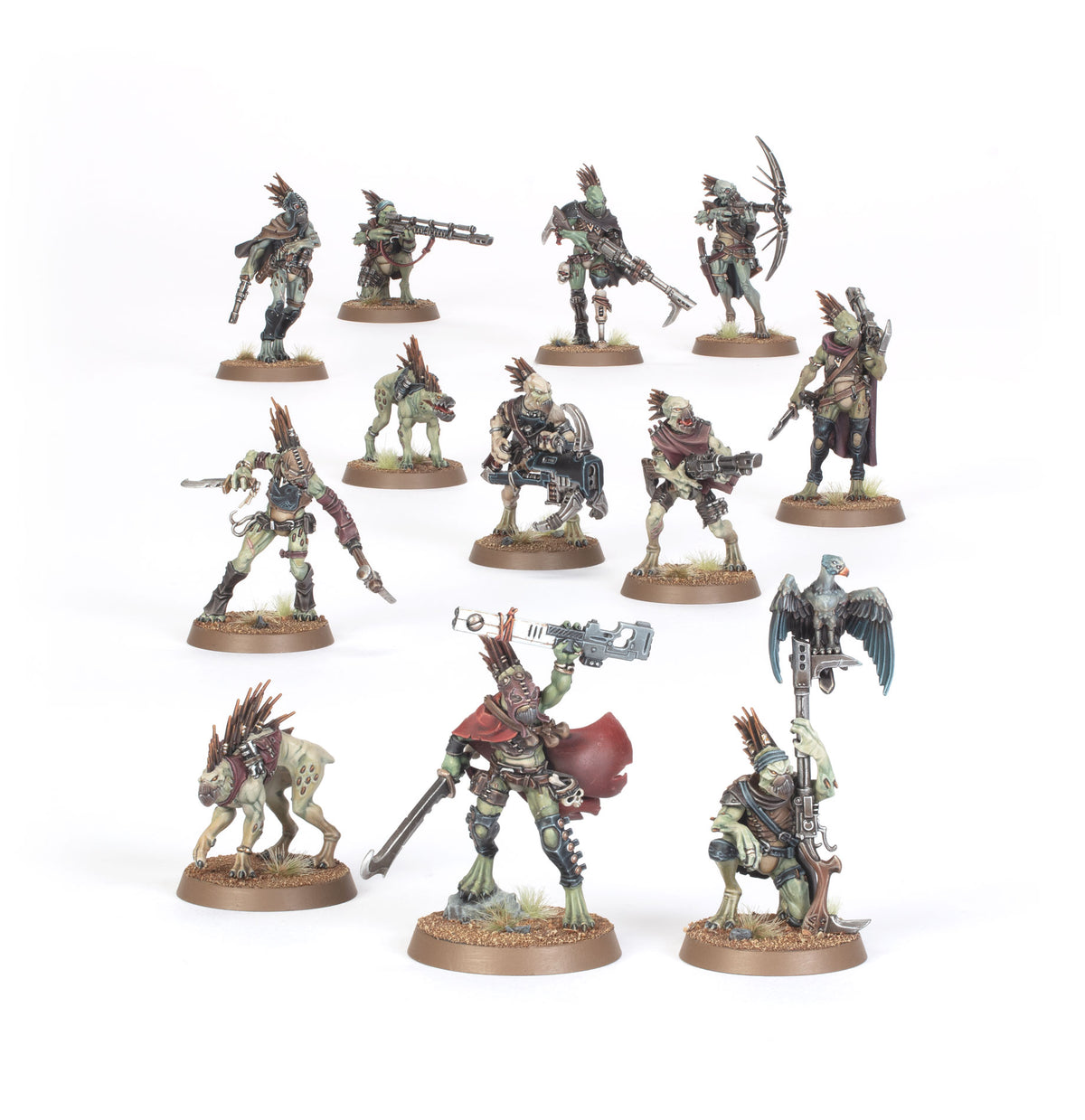 Acechantes Kroot (Kroot Farstalkers)