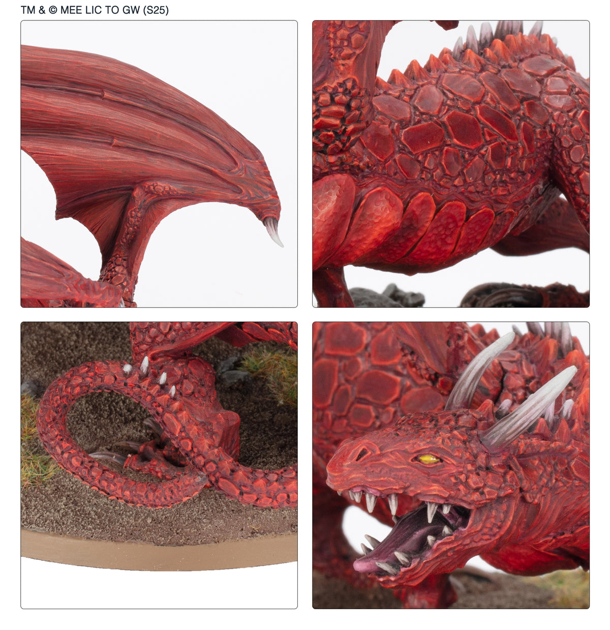 Middle-earth SBG: Dragon (Venta Directa)