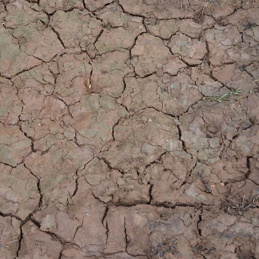Efecto craquelado húmedo 100ML