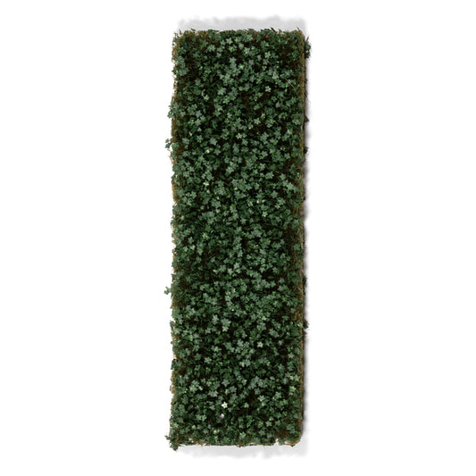 IVY FOLIAGE