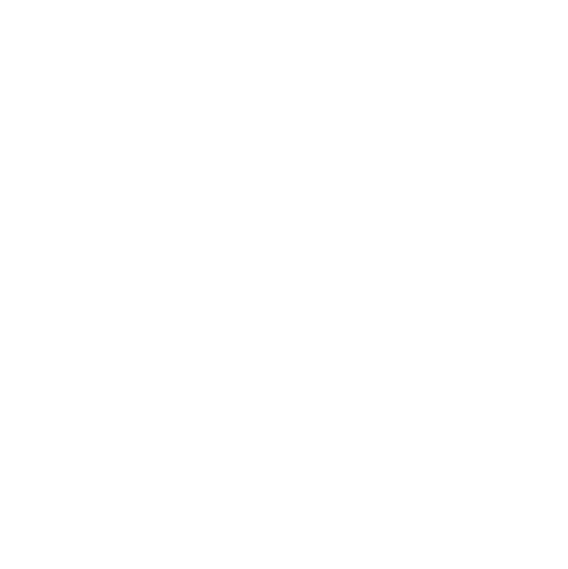 El Arca Negra