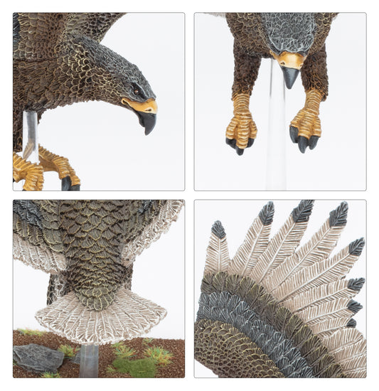 great-eagle-of-the-elven-realms foto 2