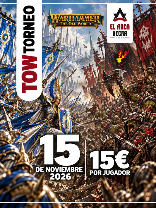 TORNEO TOW 15 de Noviembre