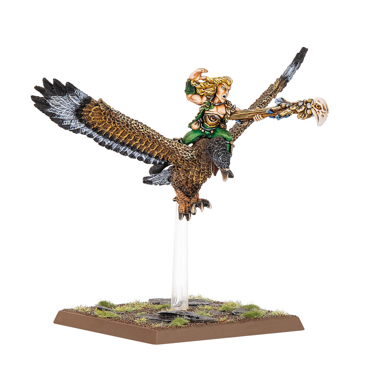 wood-elf-realms-mage-on-warhawk foto 1